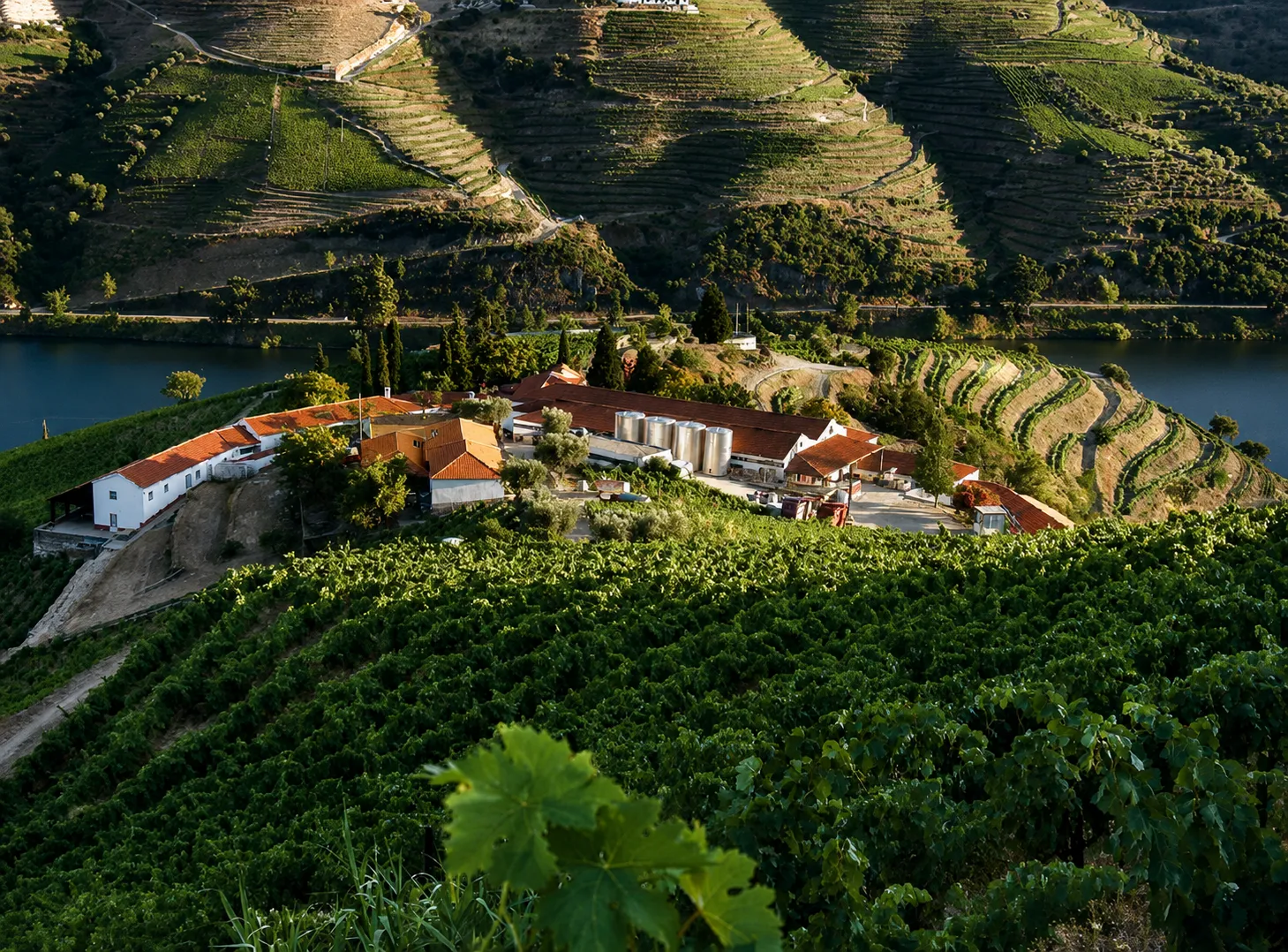 Quinta Nova Winery